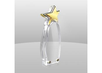 3-D Star Award